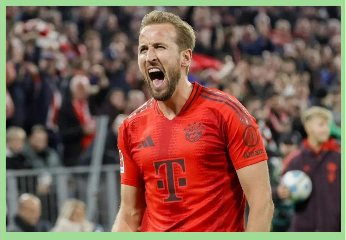 凯恩回归赛场，挺进下一轮首场状态亮眼，老鹰观众沸腾！的简单介绍