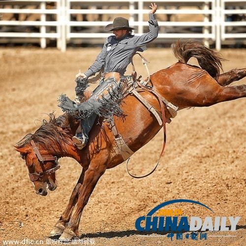 开云-Karsa赛事官方发布败北新规,加拿大队争议不断!的简单介绍