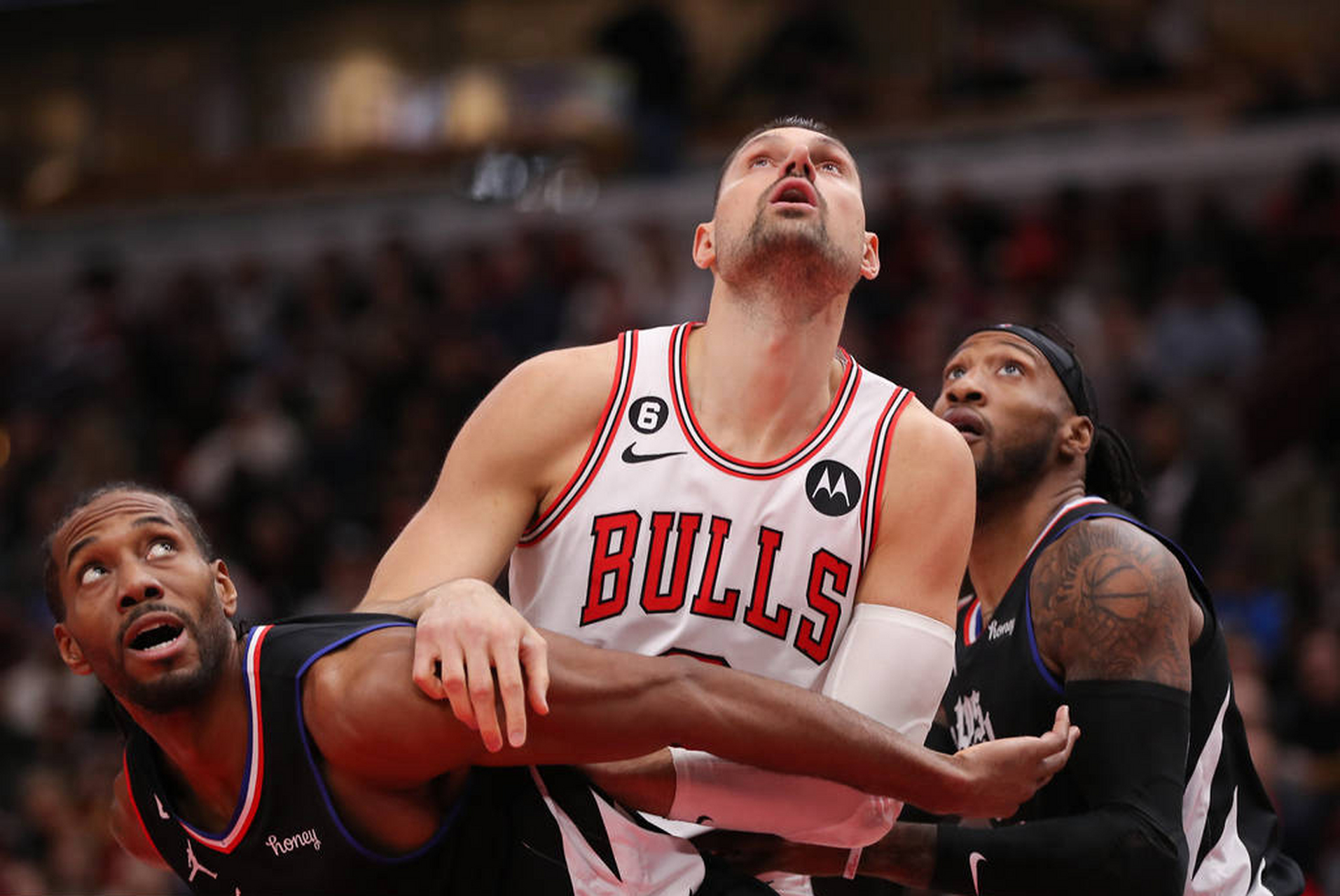  公牛队全明星 